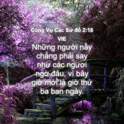 Picture 04 - Công Vụ Các Sứ đồ 2:15 VIE - Những người nầy chẳng phải say như - Bible Verse Picture