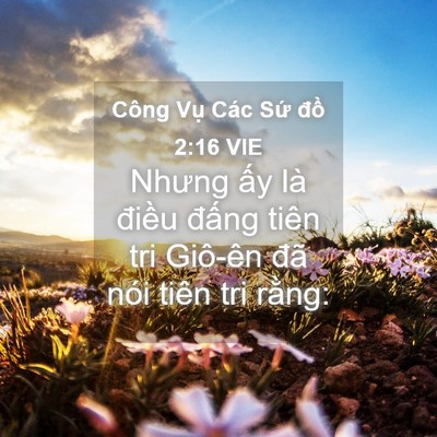 Picture 04 - Công Vụ Các Sứ đồ 2:16 VIE - Nhưng ấy là điều đấng tiên tri - Bible Verse Picture