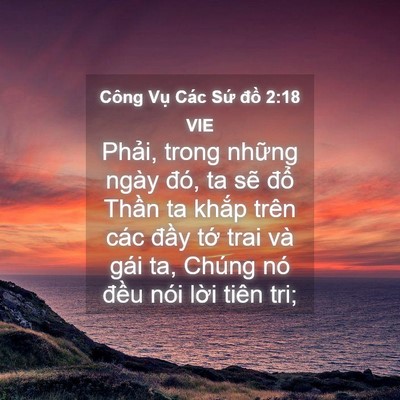 Picture 04 - Công Vụ Các Sứ đồ 2:18 VIE - Phải, trong những ngày đó, ta sẽ đổ - Bible Verse Picture