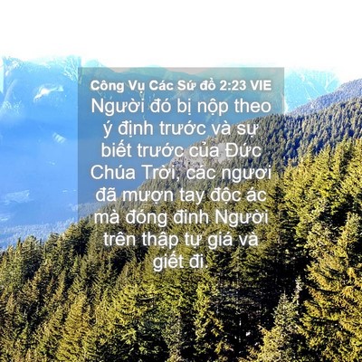 Picture 04 - Công Vụ Các Sứ đồ 2:23 VIE - Người đó bị nộp theo ý định trước - Bible Verse Picture