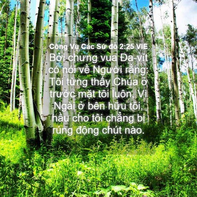 Picture 04 - Công Vụ Các Sứ đồ 2:25 VIE - Bởi chưng vua Đa-vít có nói về Người - Bible Verse Picture