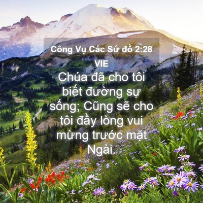 Picture 04 - Công Vụ Các Sứ đồ 2:28 VIE - Chúa đã cho tôi biết đường sự sống; - Bible Verse Picture