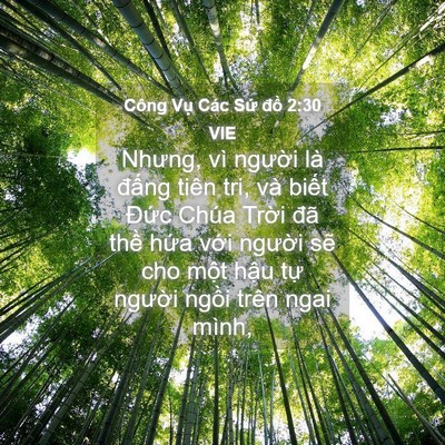 Picture 04 - Công Vụ Các Sứ đồ 2:30 VIE - Nhưng, vì người là đấng tiên tri, và - Bible Verse Picture