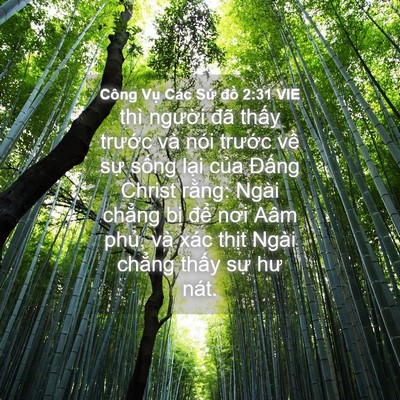 Picture 04 - Công Vụ Các Sứ đồ 2:31 VIE - thì người đã thấy trước và nói - Bible Verse Picture