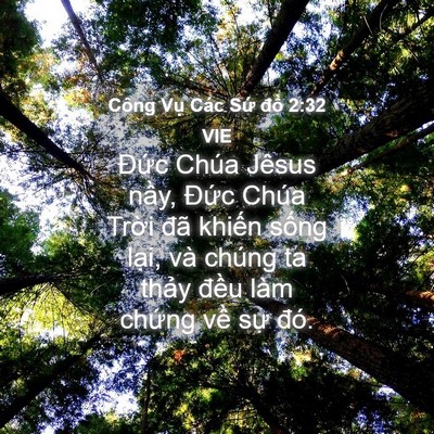 Picture 04 - Công Vụ Các Sứ đồ 2:32 VIE - Đức Chúa Jêsus nầy, Đức Chúa Trời - Bible Verse Picture