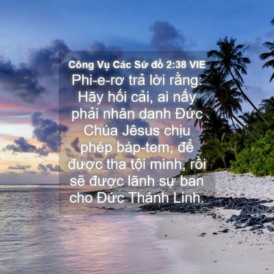 Picture 04 - Công Vụ Các Sứ đồ 2:38 VIE - Phi-e-rơ trả lời rằng: Hãy hối cải, - Bible Verse Picture