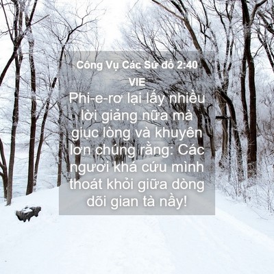 Picture 04 - Công Vụ Các Sứ đồ 2:40 VIE - Phi-e-rơ lại lấy nhiều lời giảng nữa - Bible Verse Picture