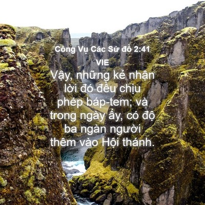 Picture 04 - Công Vụ Các Sứ đồ 2:41 VIE - Vậy, những kẻ nhận lời đó đều - Bible Verse Picture