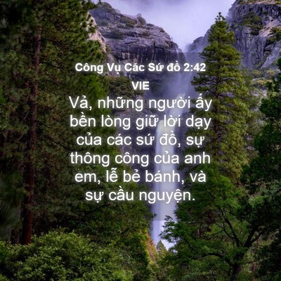 Picture 04 - Công Vụ Các Sứ đồ 2:42 VIE - Vả, những người ấy bền lòng giữ - Bible Verse Picture