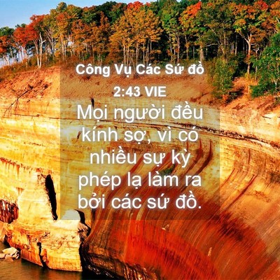 Picture 04 - Công Vụ Các Sứ đồ 2:43 VIE - Mọi người đều kính sợ, vì có nhiều - Bible Verse Picture