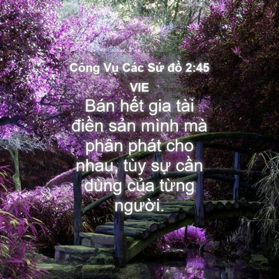 Picture 04 - Công Vụ Các Sứ đồ 2:45 VIE - Bán hết gia tài điền sản mình mà phân - Bible Verse Picture