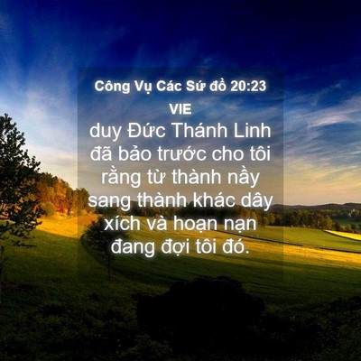 Picture 04 - Công Vụ Các Sứ đồ 20:23 VIE - duy Đức Thánh Linh đã bảo trước cho - Bible Verse Picture
