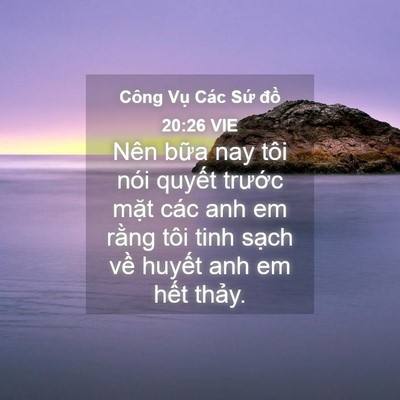 Picture 04 - Công Vụ Các Sứ đồ 20:26 VIE - Nên bữa nay tôi nói quyết trước mặt - Bible Verse Picture
