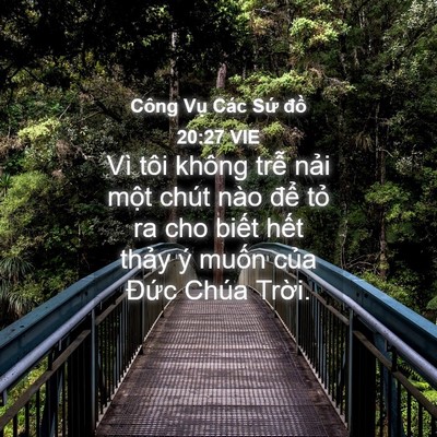 Picture 04 - Công Vụ Các Sứ đồ 20:27 VIE - Vì tôi không trễ nải một chút nào - Bible Verse Picture