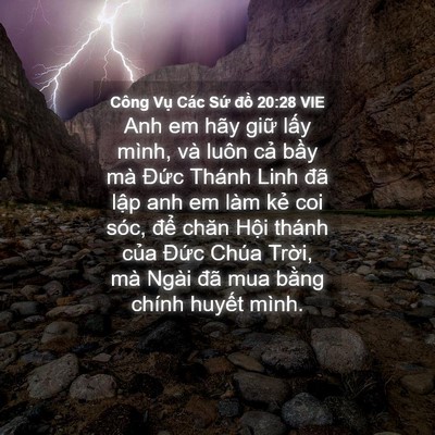 Picture 04 - Công Vụ Các Sứ đồ 20:28 VIE - Anh em hãy giữ lấy mình, và luôn cả - Bible Verse Picture