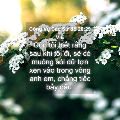 Picture 04 - Công Vụ Các Sứ đồ 20:29 VIE - Còn tôi biết rằng sau khi tôi đi, sẽ - Bible Verse Picture