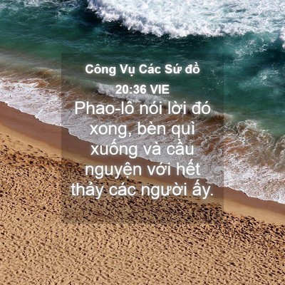 Picture 04 - Công Vụ Các Sứ đồ 20:36 VIE - Phao-lô nói lời đó xong, bèn quì xuống - Bible Verse Picture