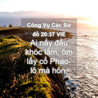 Picture 04 - Công Vụ Các Sứ đồ 20:37 VIE - Ai nấy đều khóc lắm, ôm lấy cổ - Bible Verse Picture