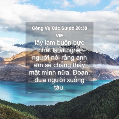 Picture 04 - Công Vụ Các Sứ đồ 20:38 VIE - lấy làm buồn bực nhất là vì nghe - Bible Verse Picture