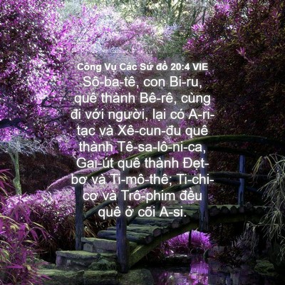 Picture 04 - Công Vụ Các Sứ đồ 20:4 VIE - Sô-ba-tê, con Bi-ru, quê thành Bê-rê, cùng - Bible Verse Picture