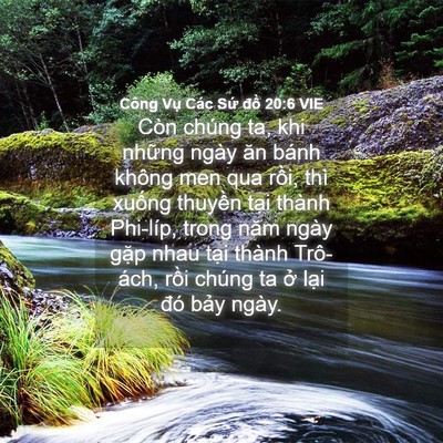 Picture 04 - Công Vụ Các Sứ đồ 20:6 VIE - Còn chúng ta, khi những ngày ăn bánh - Bible Verse Picture