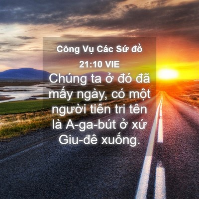 Picture 04 - Công Vụ Các Sứ đồ 21:10 VIE - Chúng ta ở đó đã mấy ngày, có một - Bible Verse Picture