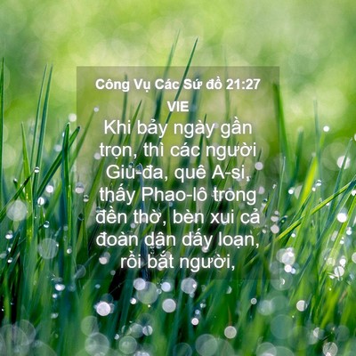 Picture 04 - Công Vụ Các Sứ đồ 21:27 VIE - Khi bảy ngày gần trọn, thì các người - Bible Verse Picture