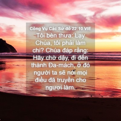 Picture 04 - Công Vụ Các Sứ đồ 22:10 VIE - Tôi bèn thưa: Lạy Chúa, tôi phải làm - Bible Verse Picture