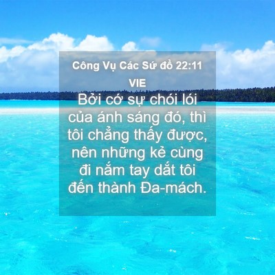 Picture 04 - Công Vụ Các Sứ đồ 22:11 VIE - Bởi cớ sự chói lói của ánh sáng đó, - Bible Verse Picture