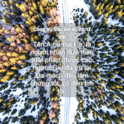 Picture 04 - Công Vụ Các Sứ đồ 22:12 VIE - Tên A-na-nia kia, là người nhân đức theo - Bible Verse Picture