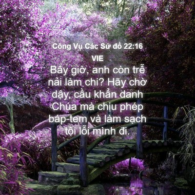 Picture 04 - Công Vụ Các Sứ đồ 22:16 VIE - Bây giờ, anh còn trễ nải làm chi? Hãy - Bible Verse Picture