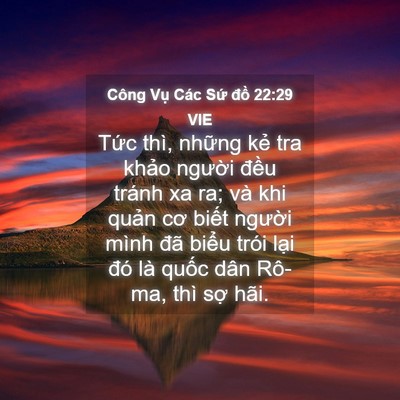 Picture 04 - Công Vụ Các Sứ đồ 22:29 VIE - Tức thì, những kẻ tra khảo người - Bible Verse Picture