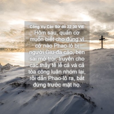 Picture 04 - Công Vụ Các Sứ đồ 22:30 VIE - Hôm sau, quản cơ muốn biết cho đúng vì - Bible Verse Picture