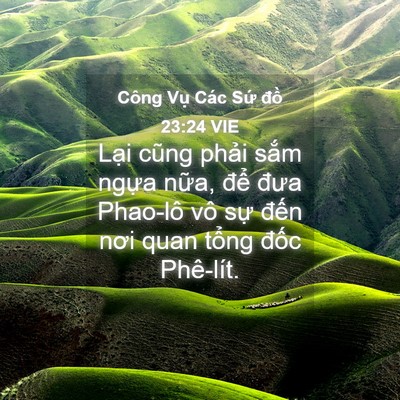 Picture 04 - Công Vụ Các Sứ đồ 23:24 VIE - Lại cũng phải sắm ngựa nữa, để - Bible Verse Picture