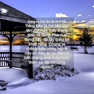 Picture 04 - Công Vụ Các Sứ đồ 23:9 VIE - Tiếng kêu la lớn liền dậy lên. Có - Bible Verse Picture