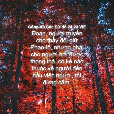 Picture 04 - Công Vụ Các Sứ đồ 24:23 VIE - Đoạn, người truyền cho thầy đội - Bible Verse Picture