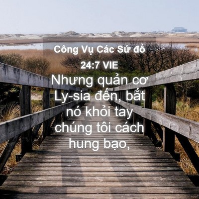 Picture 04 - Công Vụ Các Sứ đồ 24:7 VIE - Nhưng quản cơ Ly-sia đến, bắt nó khỏi - Bible Verse Picture