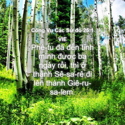 Picture 04 - Công Vụ Các Sứ đồ 25:1 VIE - Phê-tu đã đến tỉnh mình được ba - Bible Verse Picture