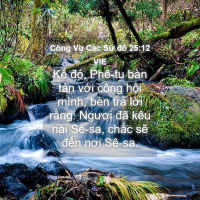Picture 04 - Công Vụ Các Sứ đồ 25:12 VIE - Kế đó, Phê-tu bàn tán với công hội - Bible Verse Picture