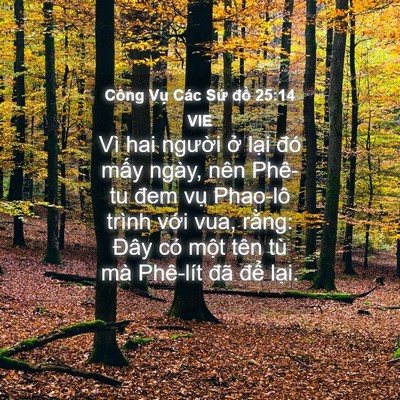 Picture 04 - Công Vụ Các Sứ đồ 25:14 VIE - Vì hai người ở lại đó mấy ngày, nên - Bible Verse Picture