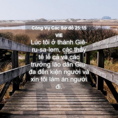 Picture 04 - Công Vụ Các Sứ đồ 25:15 VIE - Lúc tôi ở thành Giê-ru-sa-lem, các thầy - Bible Verse Picture