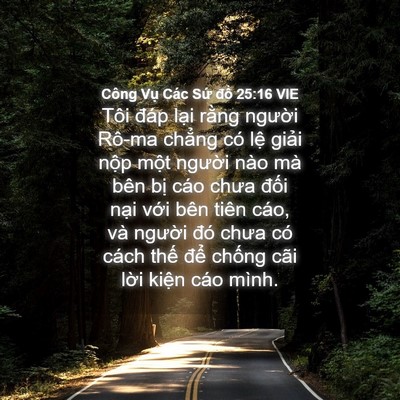 Picture 04 - Công Vụ Các Sứ đồ 25:16 VIE - Tôi đáp lại rằng người Rô-ma chẳng - Bible Verse Picture