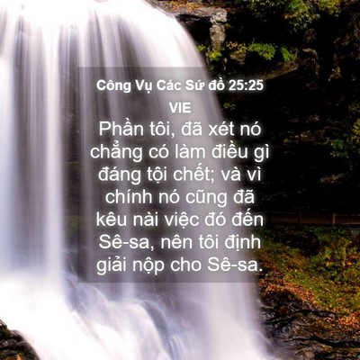 Picture 04 - Công Vụ Các Sứ đồ 25:25 VIE - Phần tôi, đã xét nó chẳng có làm - Bible Verse Picture
