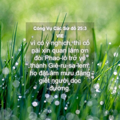 Picture 04 - Công Vụ Các Sứ đồ 25:3 VIE - vì có ý nghịch, thì cố nài xin quan làm - Bible Verse Picture
