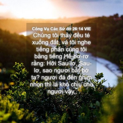 Picture 04 - Công Vụ Các Sứ đồ 26:14 VIE - Chúng tôi thảy đều té xuống đất, và - Bible Verse Picture