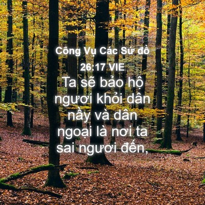 Picture 04 - Công Vụ Các Sứ đồ 26:17 VIE - Ta sẽ bảo hộ ngươi khỏi dân nầy và - Bible Verse Picture