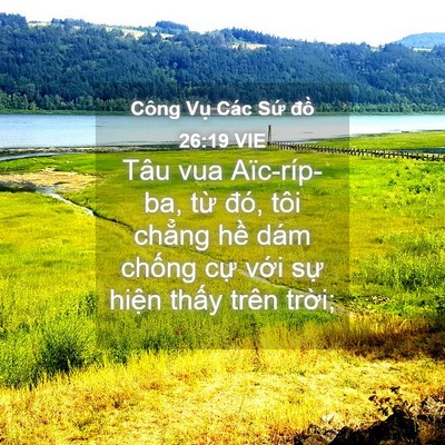 Picture 04 - Công Vụ Các Sứ đồ 26:19 VIE - Tâu vua Aïc-ríp-ba, từ đó, tôi chẳng - Bible Verse Picture