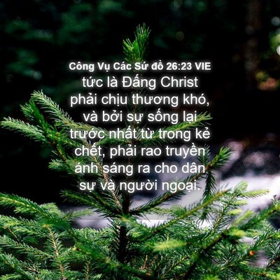 Picture 04 - Công Vụ Các Sứ đồ 26:23 VIE - tức là Đấng Christ phải chịu thương - Bible Verse Picture
