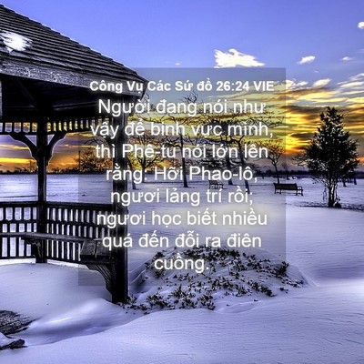 Picture 04 - Công Vụ Các Sứ đồ 26:24 VIE - Người đang nói như vậy để binh vực - Bible Verse Picture