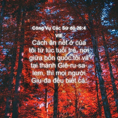 Picture 04 - Công Vụ Các Sứ đồ 26:4 VIE - Cách ăn nết ở của tôi từ lúc tuổi - Bible Verse Picture